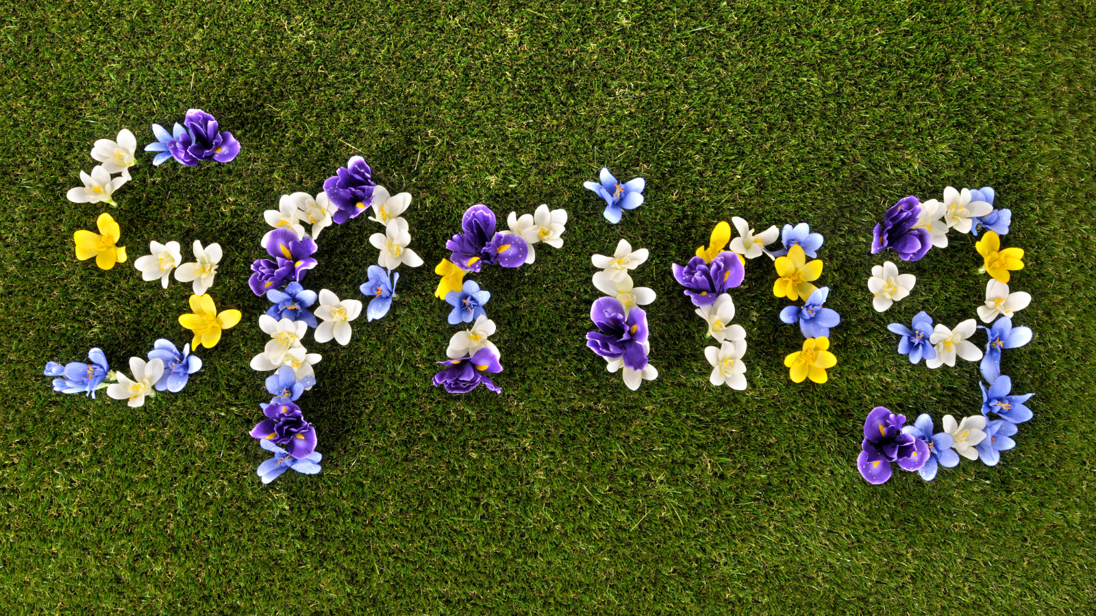 Spring For Success Spring – Success Lies in Mind